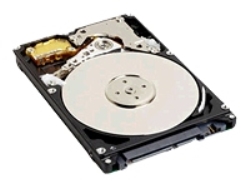Western Digital Hard Disk 1 TB